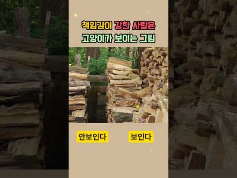 책임감이 유독 강한 사람은 고양이가 보이는 그림
