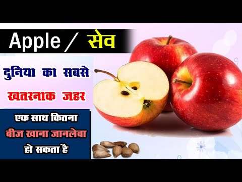 सेव का बीज सबसे जहरीला | Apple Seed Poisonous | Poisoning from Apple Seeds