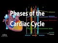 Understanding the Cardiac Cycle
