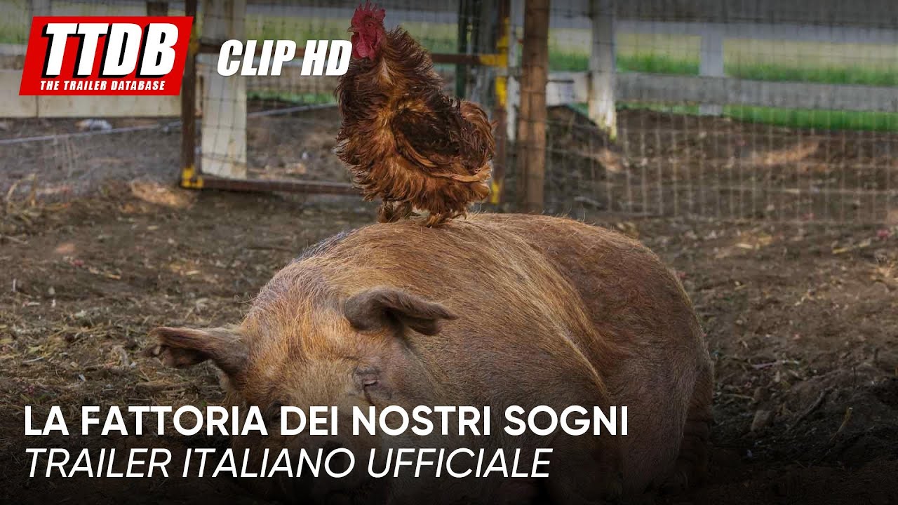 La fattoria dei nostri sogni anteprima del trailer