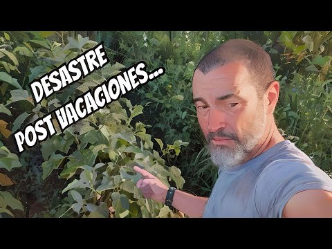 Después de las Vacaciones...LLEGA EL DESASTRE !!!