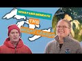 Great Lakes Geography and Geology