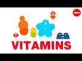 Understanding Vitamins