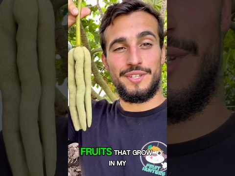 Top 5 Fruits in my backyard! ๐๐จ๐ฝโ๐พ #farming