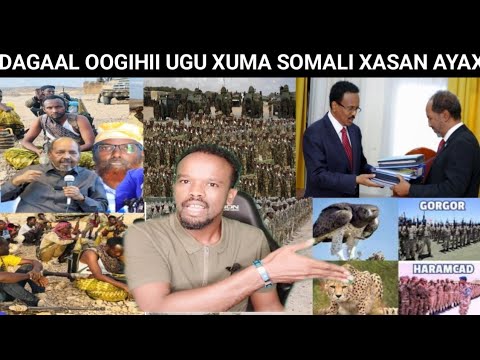 DAGAAL OGIHII UGU XUMA E SOMALI SO MARA & BEESHA XAWAADLE O YAR & WEEYNBA QORI QAADATAY, WAA MASIIBO