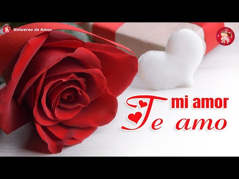 🌹 Por estas razones te amo mi amor 💝 Te amo porque eres el amor de mi vida