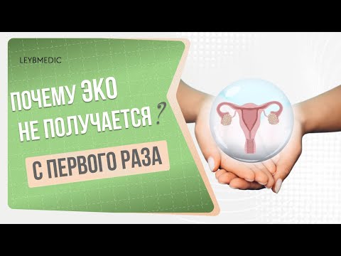 🔎 Почему ЭКО не получается с первого раза?