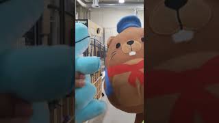 a clip from one of our videos
