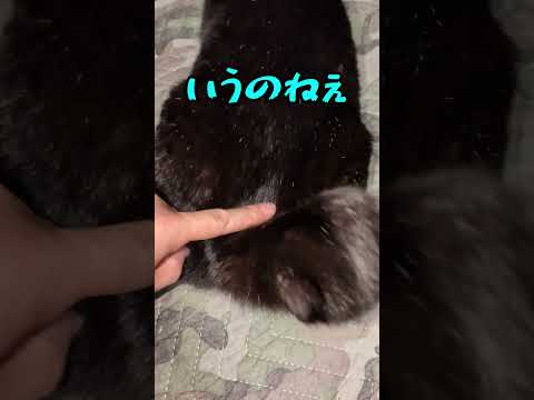 オネエみたいになってしまったトゥトゥロォ