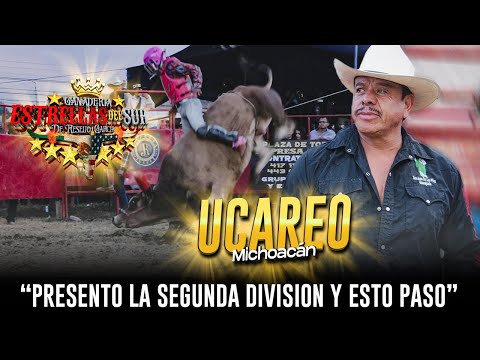 ¡ESTRENO UNOS BECERRITOS, SON LAS FUTURAS ESTRELLAS DE RESELIO! FERIA DE LA PERA 2024