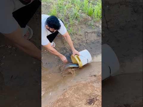 рдкрд╡рди рд╕рд╛рд╣реВ рдХреЗ рдлреЙрд░реНрдо рдкрд░ рдордЫрд▓реА ЁЯРЯ рдЖ рдЬрд╛рддрд╛ рд╣реИ рддрд▓рд╛рд╡ рд╕реЗ