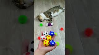 Funny Cats Beads 📿🔴 Marbles 🌈 Reverse video
