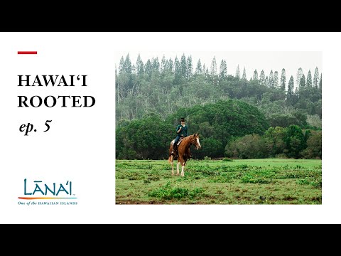 Lana'i Through My Eyes: Hawai‘i Rooted