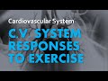 Physiological Responses to Exercise