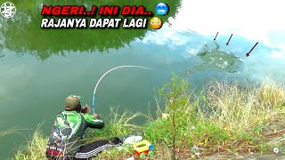 Terpesona..! Jadi tontonan Saat mancing dapat ikan nila sebesar ini 
