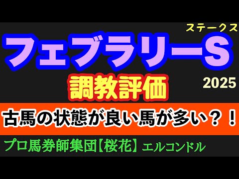 エルコンドル氏のフェブラリーステークス2025調教評価！！人気馬もしっかり仕上げてきた！しかし古馬勢も状態上向きな馬が数頭いる！？レースに向けますます悩ましくなる一戦！