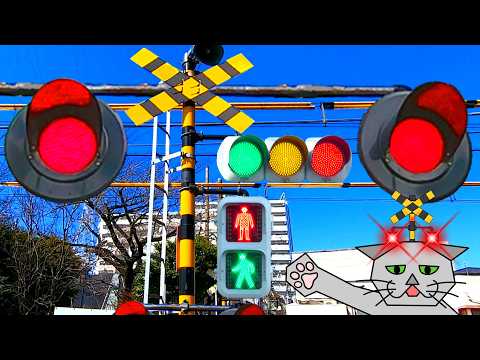 【電車】おもしろい踏切 信号 Funny railroad crossings and trains
