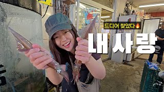 일본 항구마을에서 드디어 찾은 내 사랑