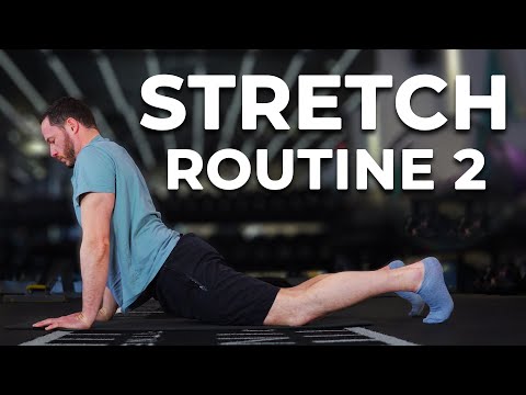 Quick Beginner Stretch Routine For Flexibility and Stiffness (Routine 2)