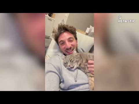 When Pets Start Acting Like Toddlers | Absolute Chaos
