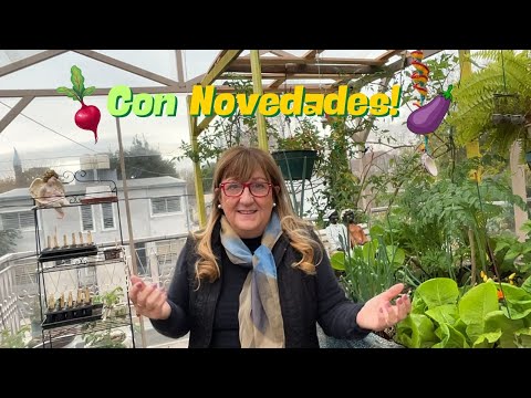 🍋Vuelvo con Nuevas IDEAS  y TE LO CUENTO TODO !!! 🧐