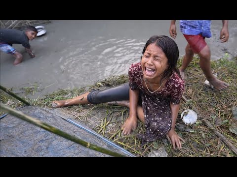 পুকুরে মাছ ধরতে গিয়ে এটা কি হলো | Doyel Agro