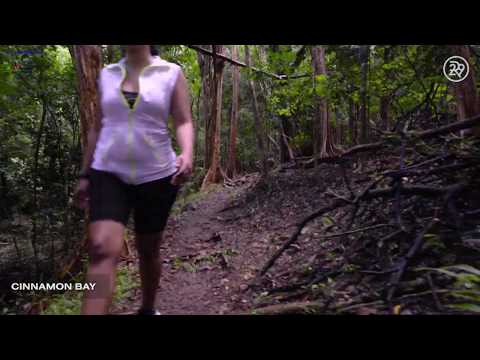 Exploring St. John