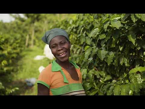 Coffee Changing Lives in Mozambique | Mount Gorongosa