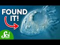 Flu Vaccines and Linode Resources