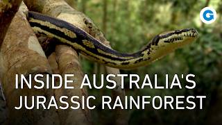 Jurassic Jungle: Australia’s Living Dinosaurs | Full Documentary