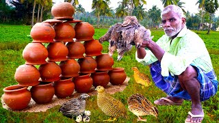 CLAY POT BIRYANI | Handi Biryani Recipe | Quail Handi Biryani | Food fun village