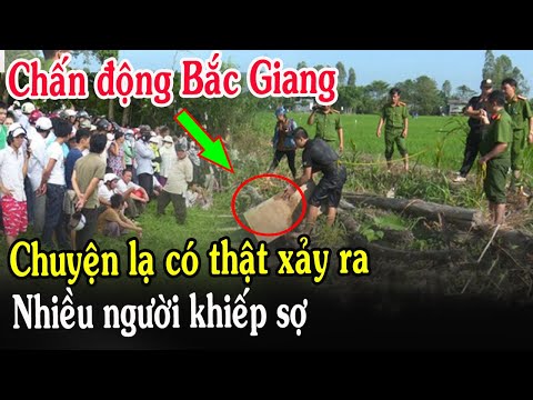 🔴Tin Mới! Bất Ngờ Chuyện Lạ Có Thật Xảy Ra Tại Giáo Phận Bắc Ninh - Xin Cầu Nguyện l Đinh Thập Tự