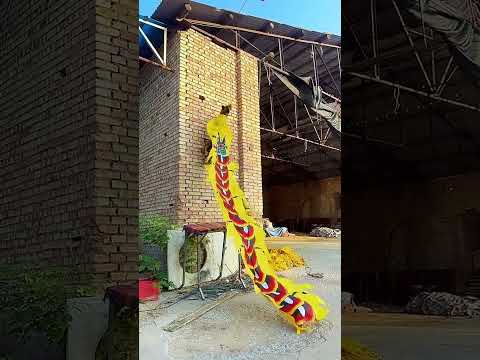 power of dog jumping from wall raining catching ring #trending #viralvideo #dogshorts #shorts