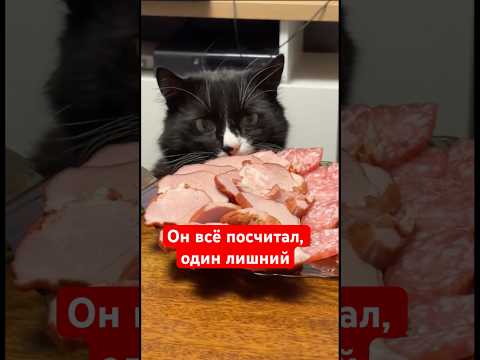 Он всё посчитал, один лишний