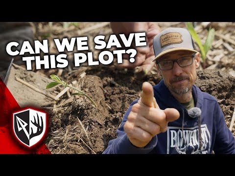 Plot Panic: These Beans Look Awful!