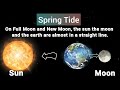 Understanding Tides and Their Effects