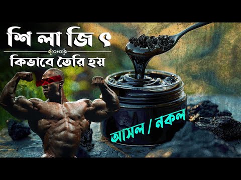 শিলাজিৎ কিভাবে তৈরি হয় || How Shilajit is Made
