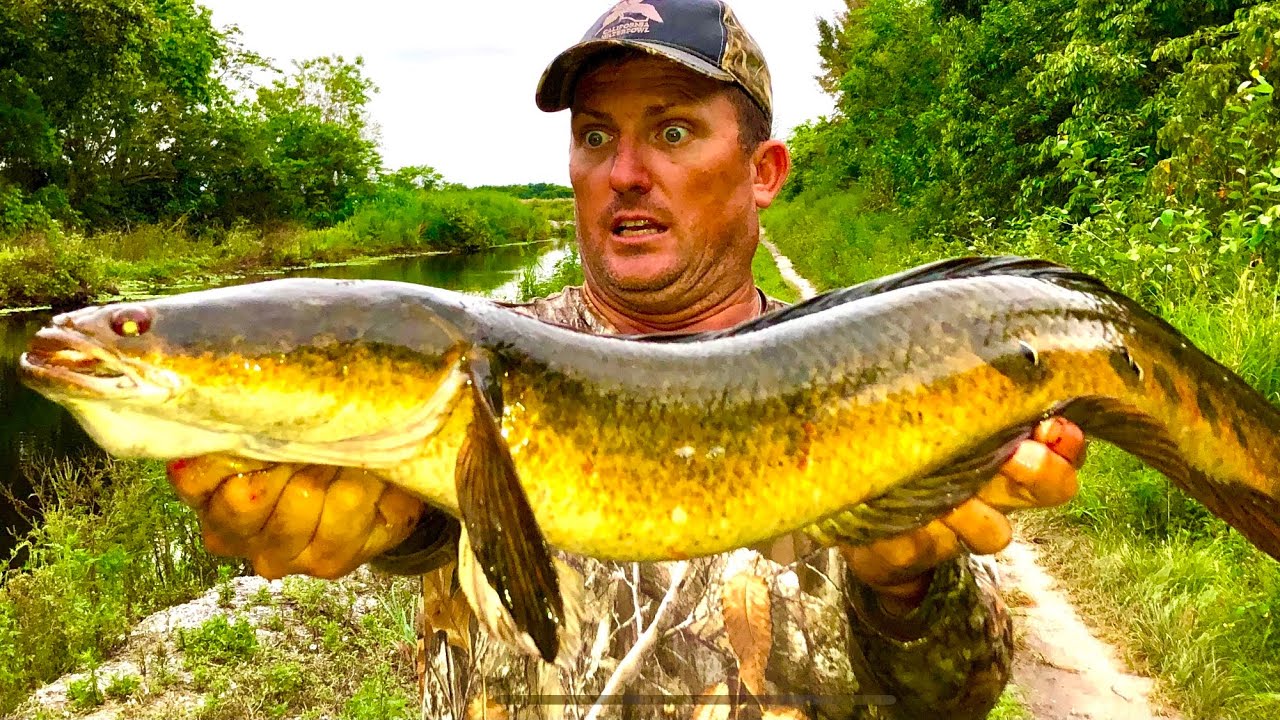 Snakehead Fishing with VERY SPECIAL FAN! Catch Clean Cook Epic Valentines Dinner with DeerMom!