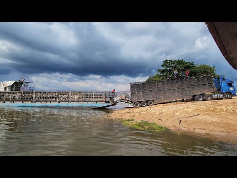 EMBARCANDO VACADA NA BALSA! Viagem pelas águas do Rio Xingu