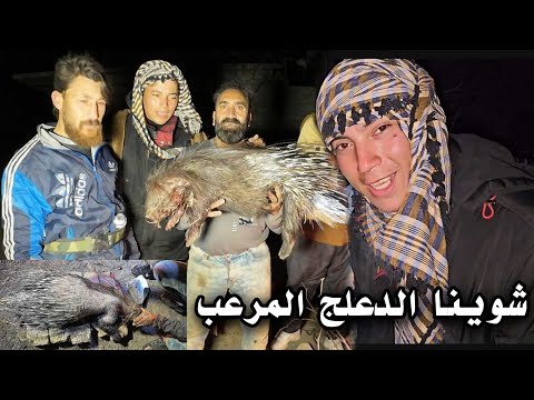 صيد  الدعلج واكله مع اشخاص غريبين داخل العراق_ أخطر الصيادين