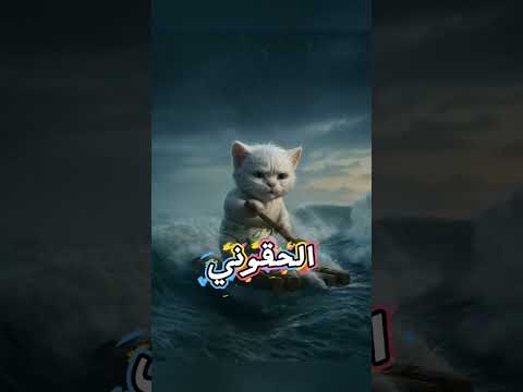 قصص مياو