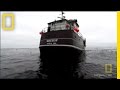 Fishing Practices and Bycatch Issues