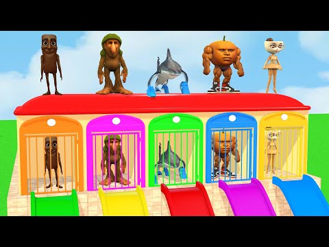 Long Slide Game with Cow Elephant Gorilla Hippopotamus Tiger 3d Animal Game Funny 3d Animals