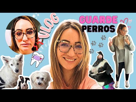 Nuevo 🐶 de la FAMILIA 🐶 KAI ❤️ SÚPER buena NOTICIA 🎉Somos una GUARDERÍA de PERROS 😅