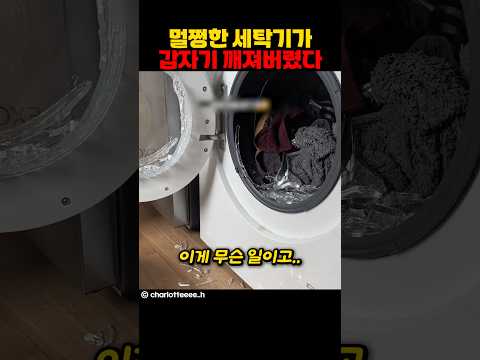 멀쩡한 세탁기가 갑자기 깨져버렸다