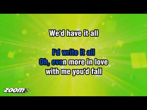 The Baseballs – Hey There Delilah – Karaoke Version from Zoom Karaoke