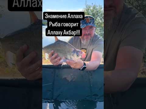 Мохи Аллоху Акбар гуфт ☝️الله أكبر‎