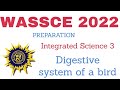Digestive System Functions and Structures