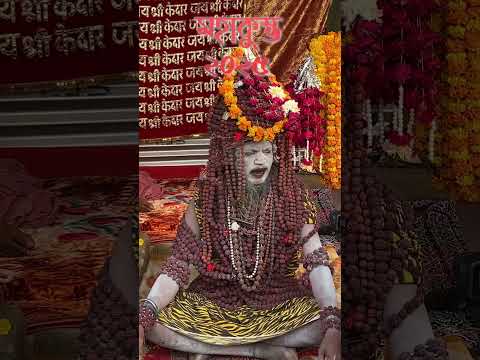 Maha Kumbh 2025