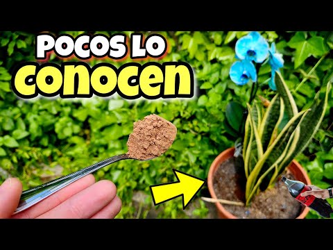 🌱 Toda PLANTA FLORECE y CRECE GRACIAS a este ABONO CASERO Orgánico para huerta urbana y Jardín!